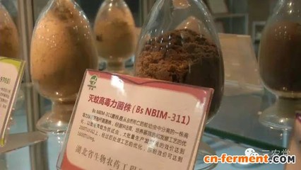 湖北微生物农药研发引领世界，生物农药技术谱写绿色农业新篇章
