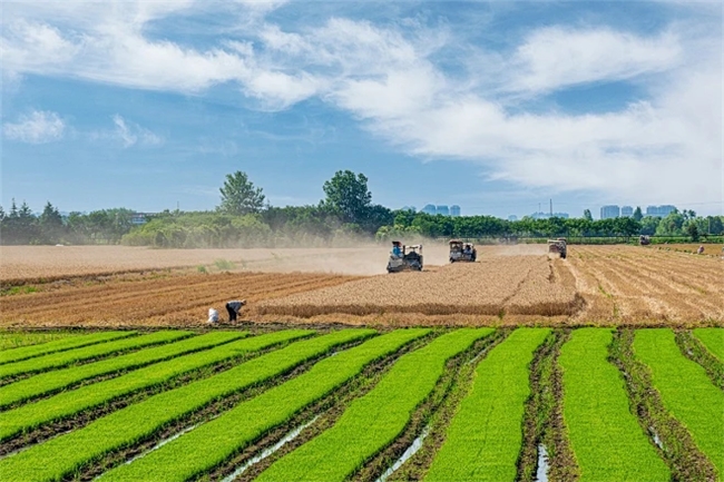绿色引领，以科技力量守护生态与农业共生 生物农药技术的研发与未来